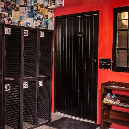 House Of Lion Hostel パンタイ・サナング エクステリア 写真