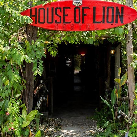 House Of Lion Hostel パンタイ・サナング エクステリア 写真