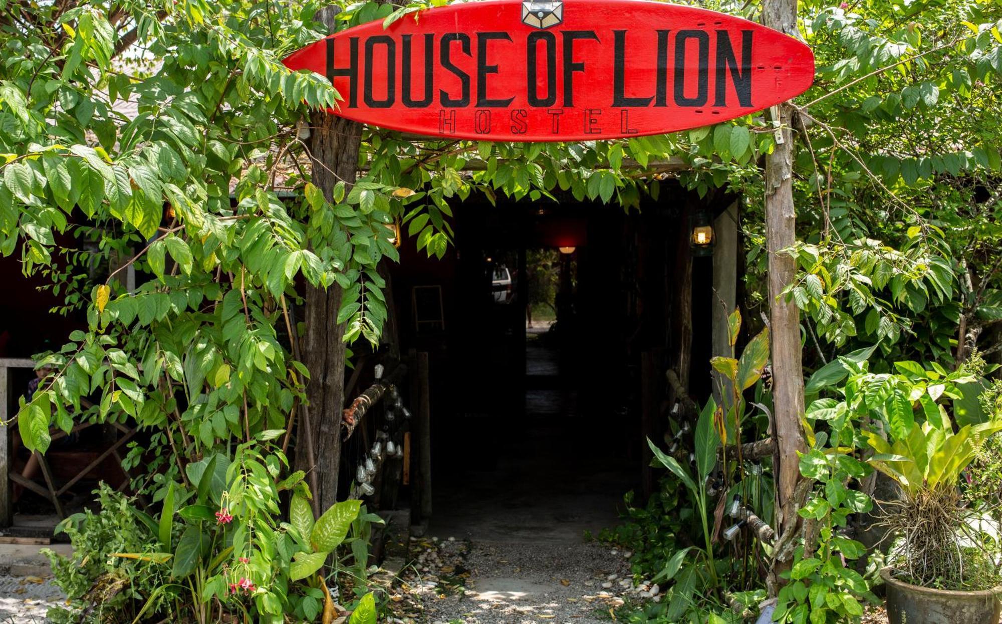 House Of Lion Hostel パンタイ・サナング エクステリア 写真